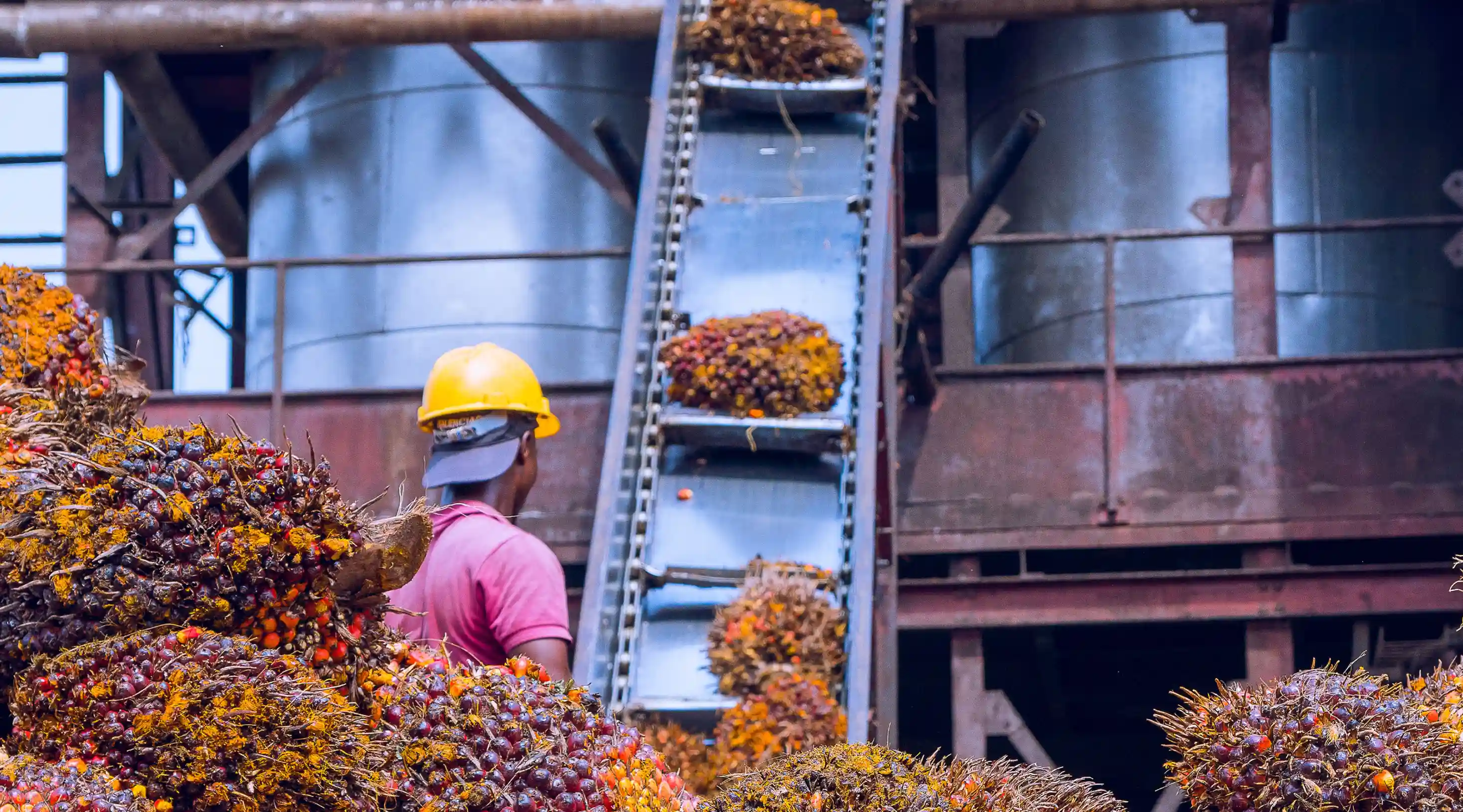 Milling & Processing