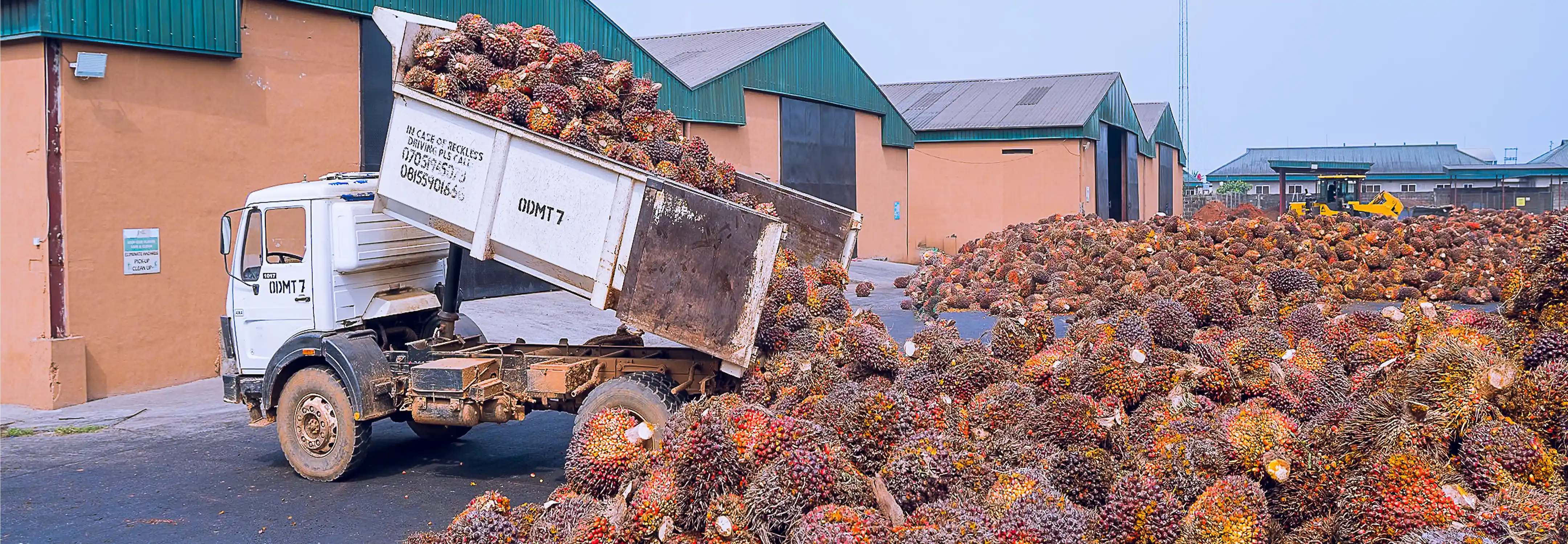 One of Nigeria's Leading Integrated
Agro-Industrial Companies