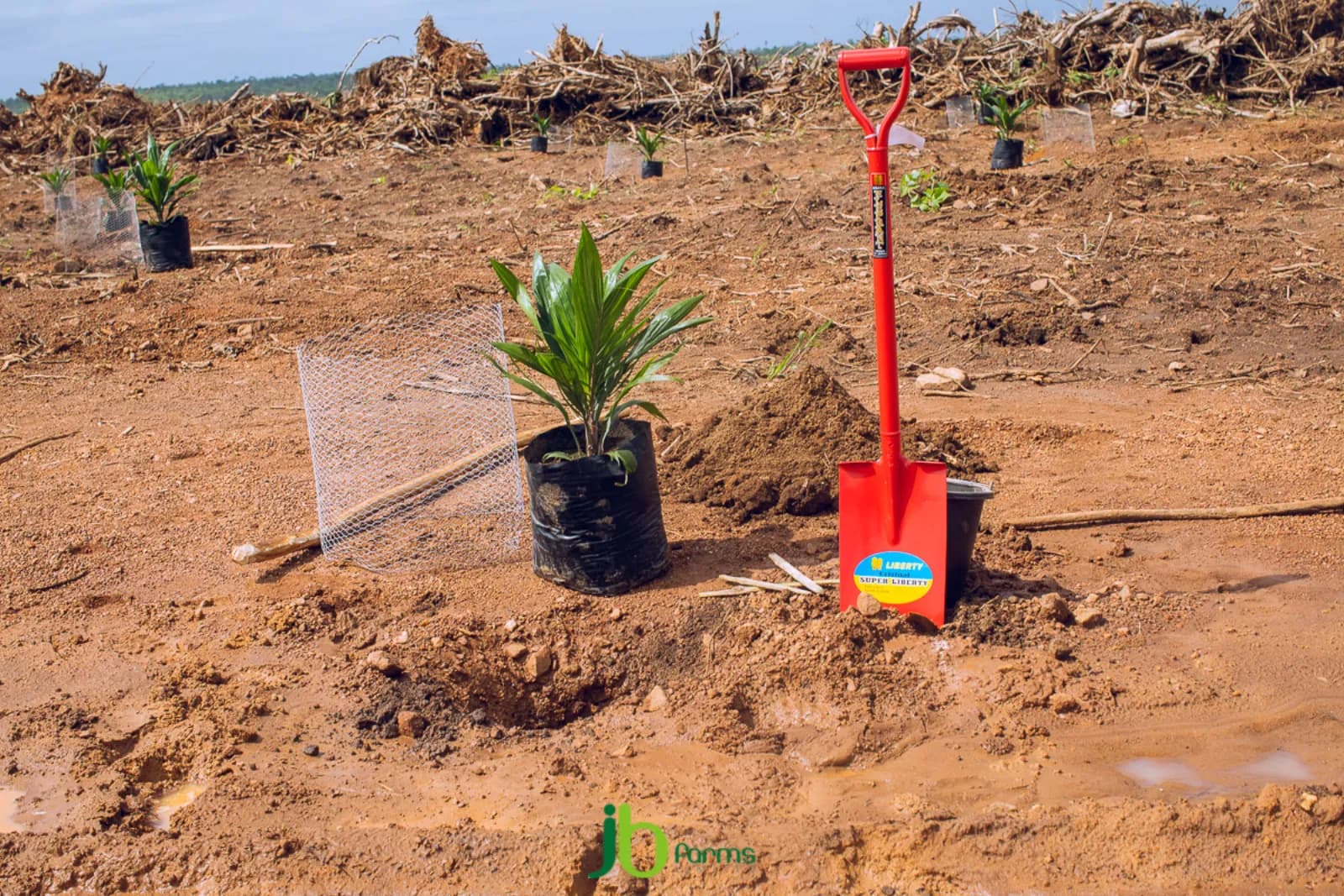 Early days of JB Farms