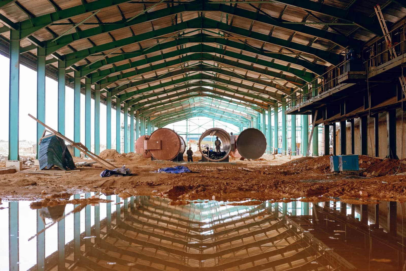 Expansive oil palm plantation rows
