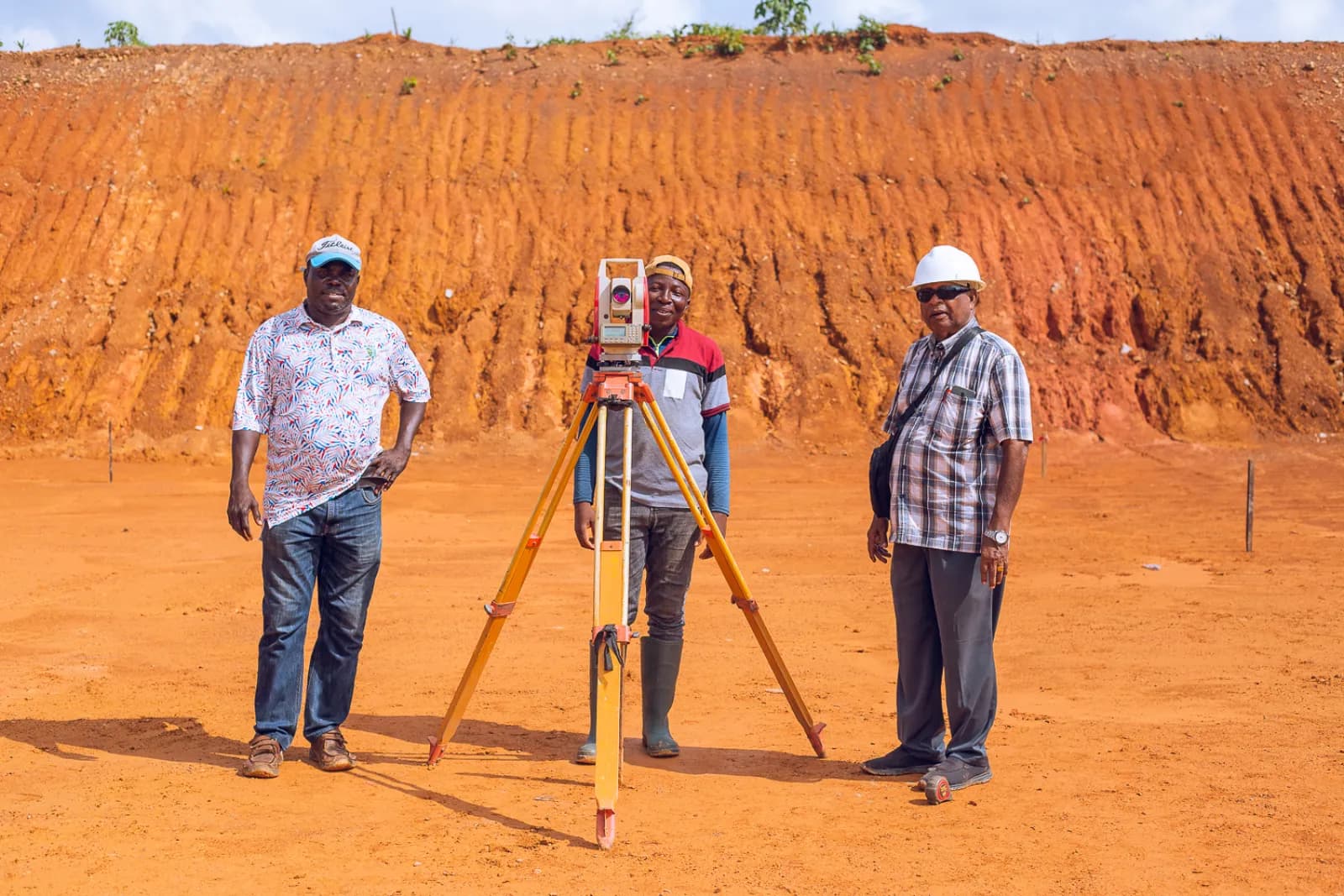 Mature oil palm trees at JB Farms estate