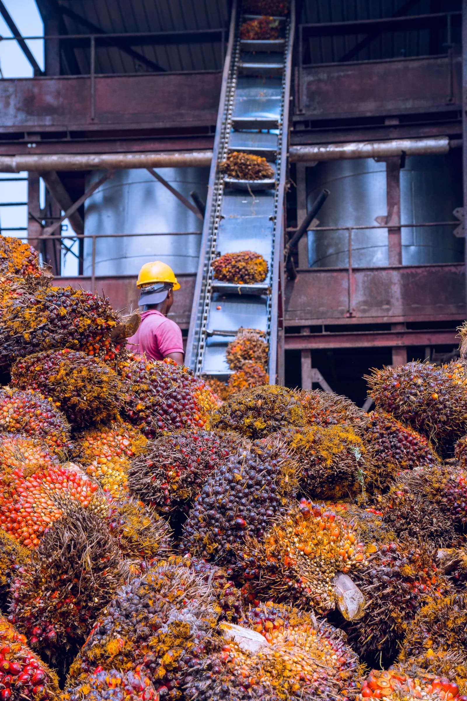 Harvest & Transportation