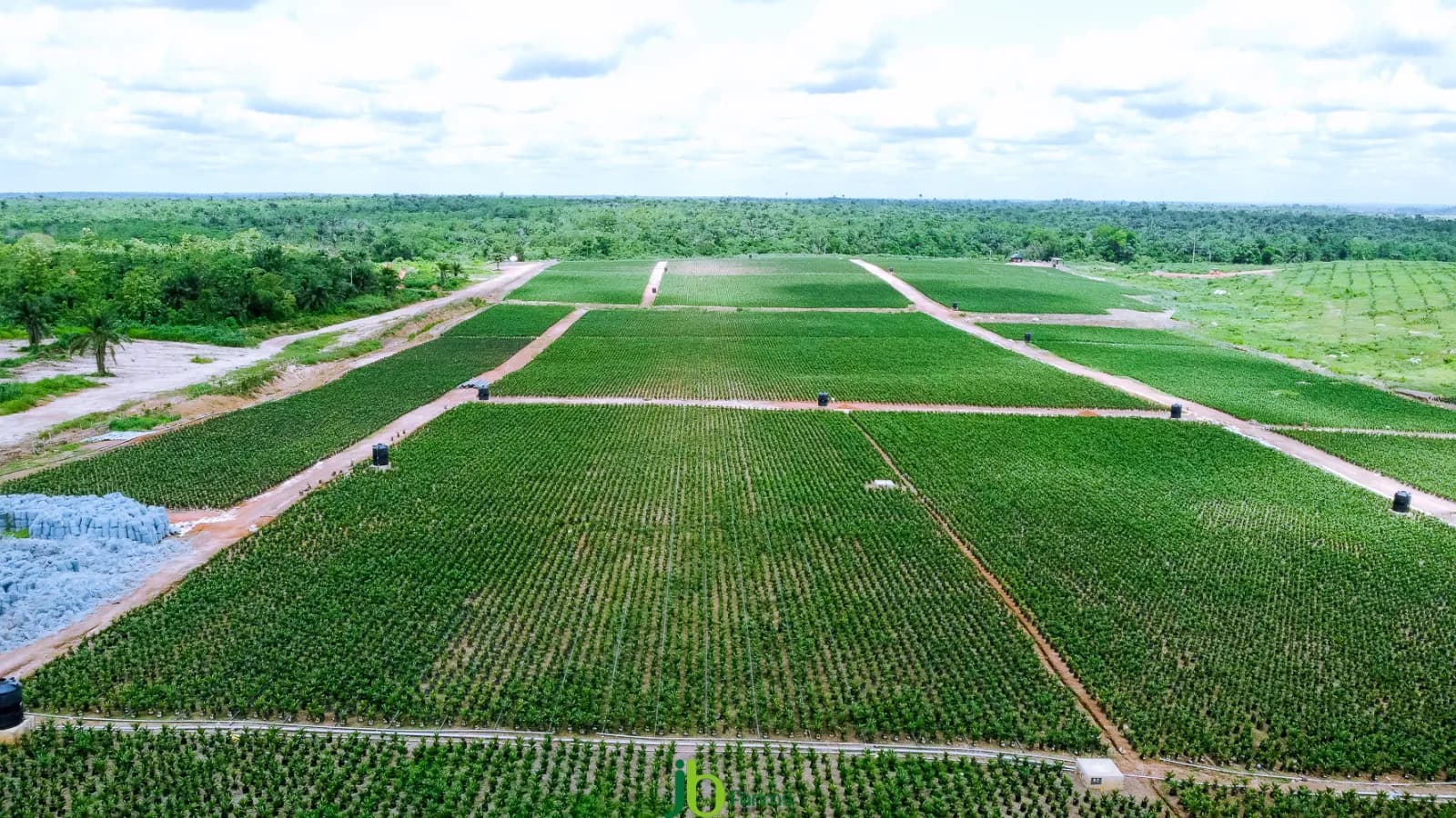 Panoramic aerial view of JB Farms estate