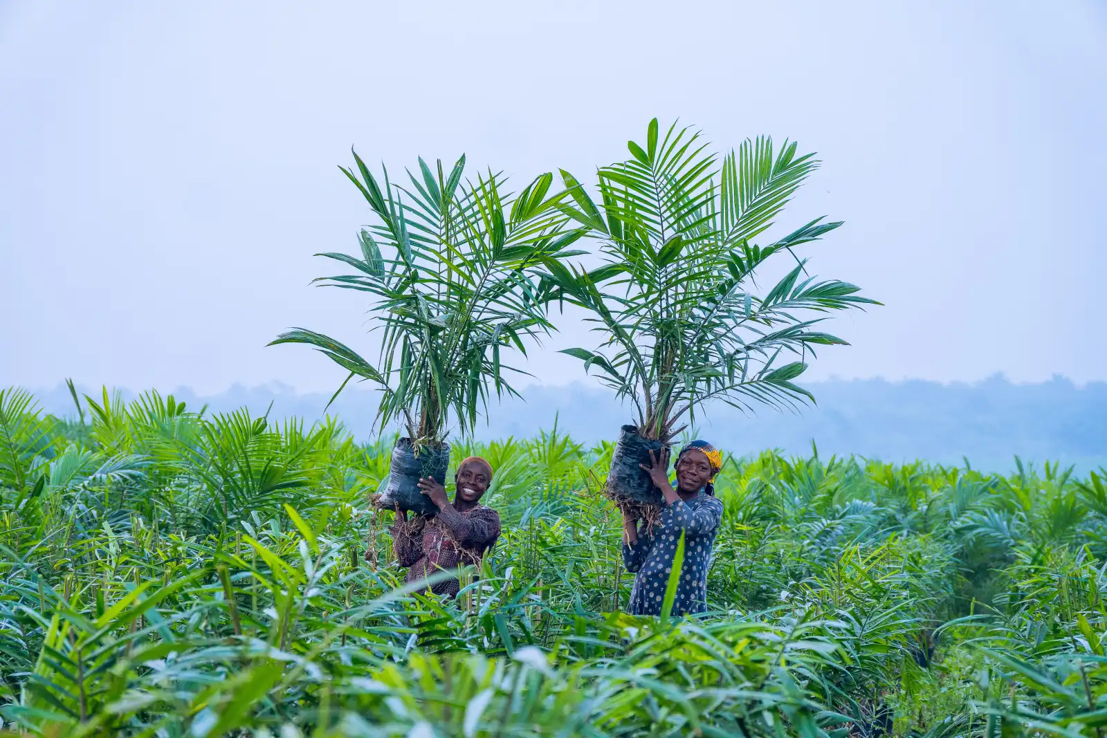 Community programme activities supported by JB Farms