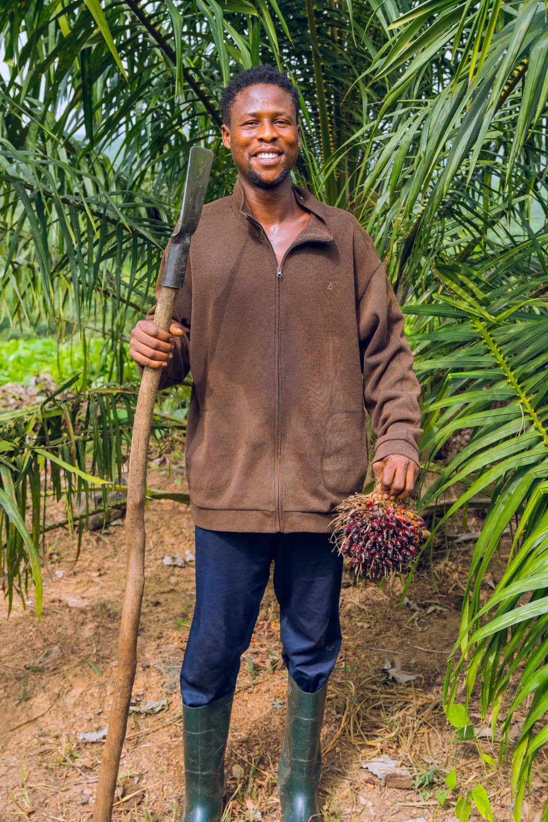 Worker holding oil palm