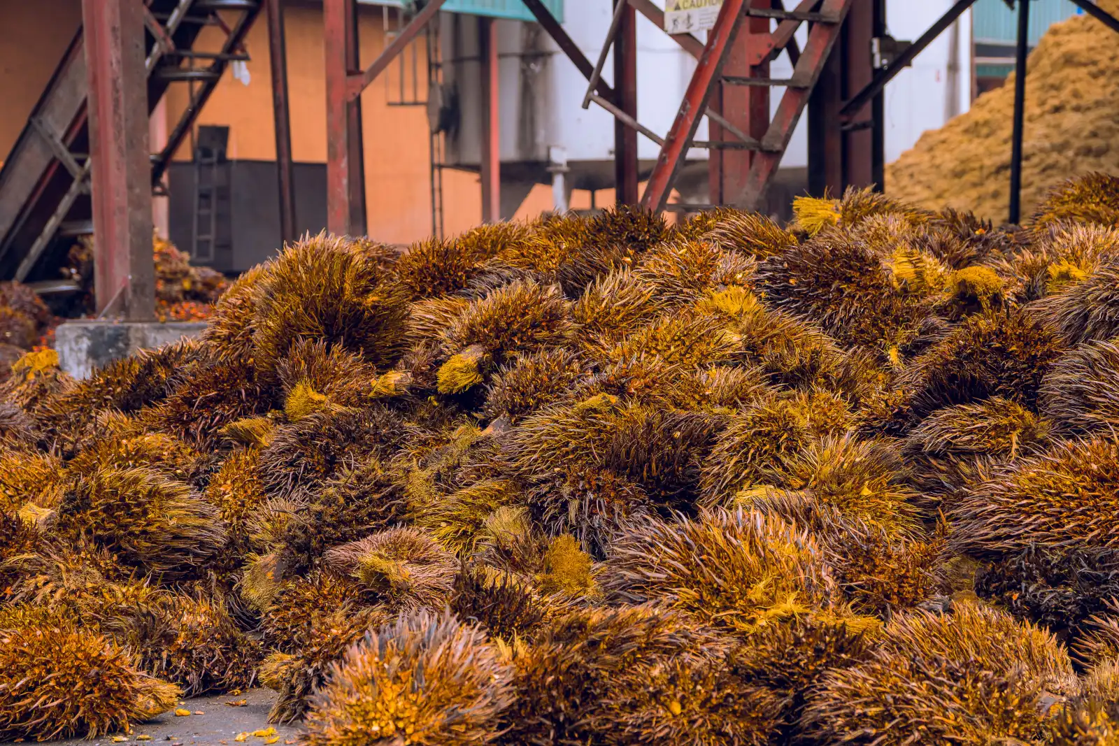 Self-sustaining palm oil mill in Ore, Ondo State